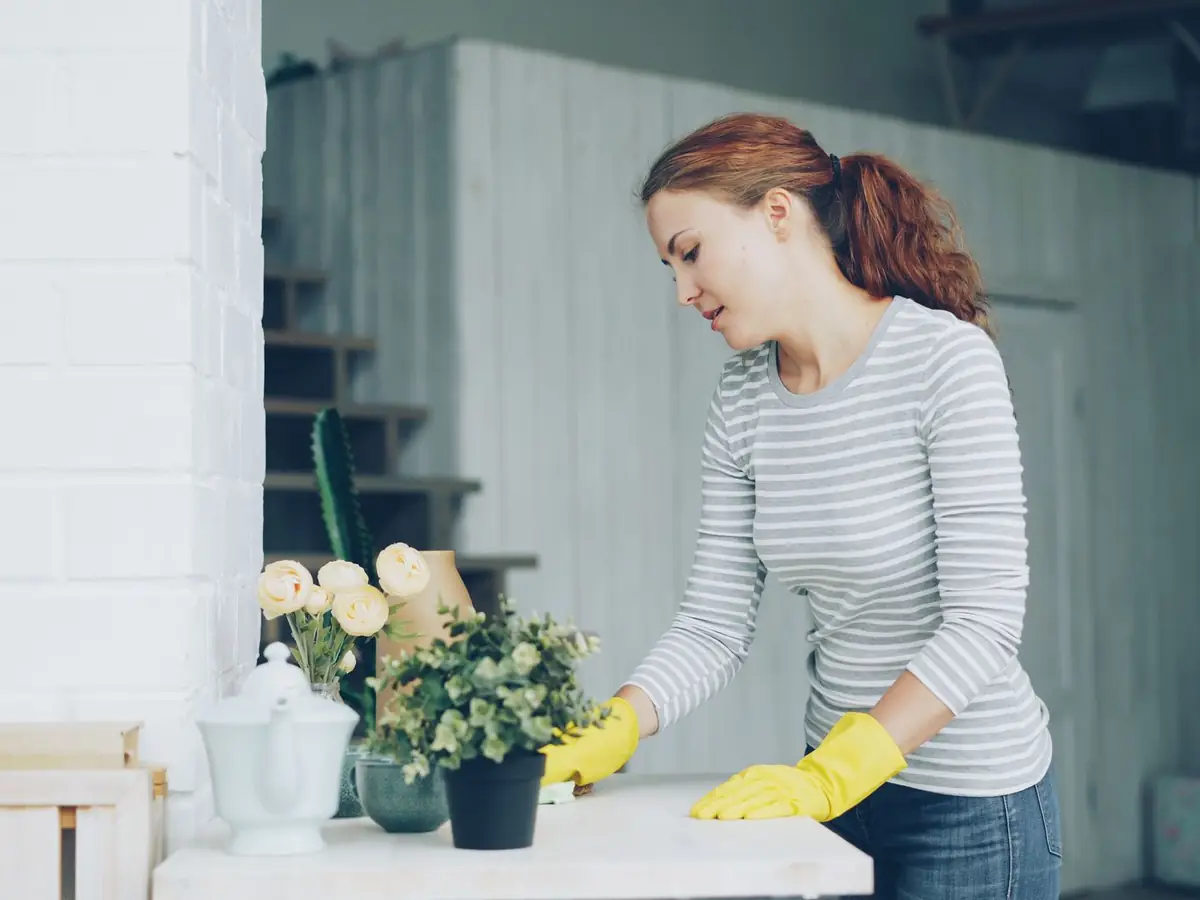 HOUSEKEEPING SERVICES